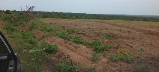 Agriculture Credit