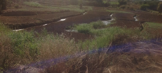 Agriculture Credit